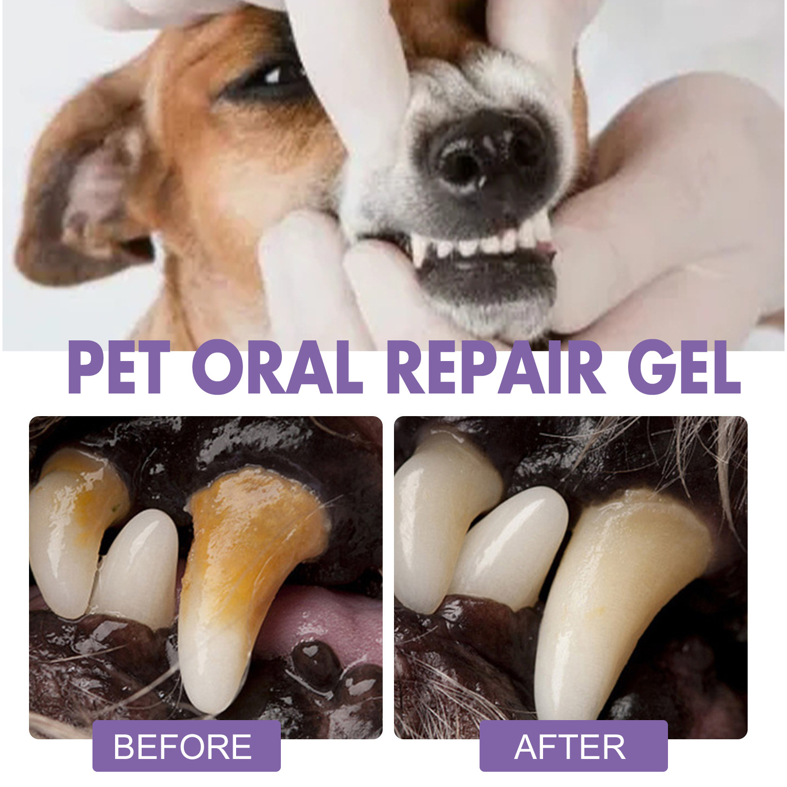 Pet Oral Repair Gel Puppy Tart - Teeth Whitening Gels Used By Dentists recension och pris